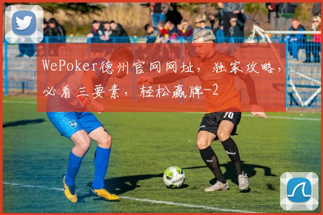 WePoker德州官网网址，独家攻略，必看三要素，轻松赢牌