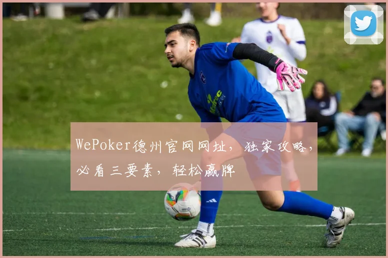 WePoker德州官网网址，独家攻略，必看三要素，轻松赢牌